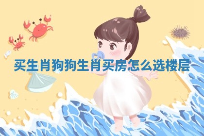 买生肖狗 狗生肖买房怎么选楼层