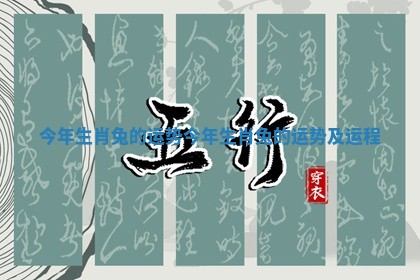 今年生肖兔的运势_今年生肖兔的运势及运程