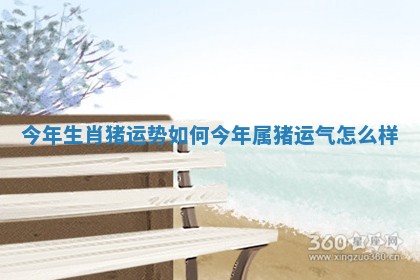 今年生肖猪运势如何_今年属猪运气怎么样
