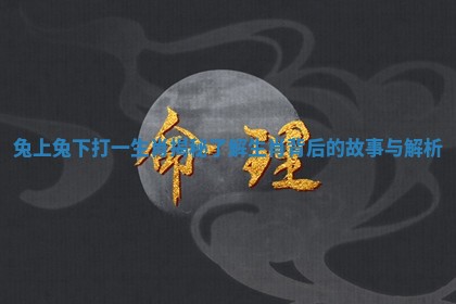 兔上兔下打一生肖揭秘 了解生肖背后的故事与解析