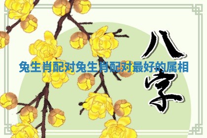 兔生肖配对 兔生肖配对最好的属相