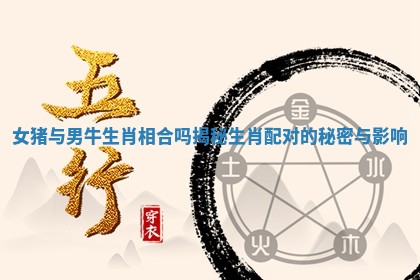 女猪与男牛生肖相合吗揭秘生肖配对的秘密与影响