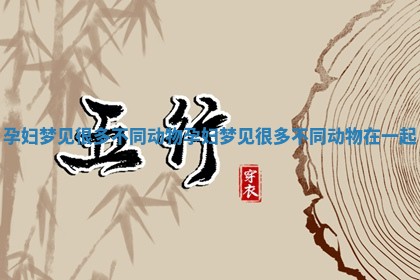 孕妇梦见很多不同动物 孕妇梦见很多不同动物在一起