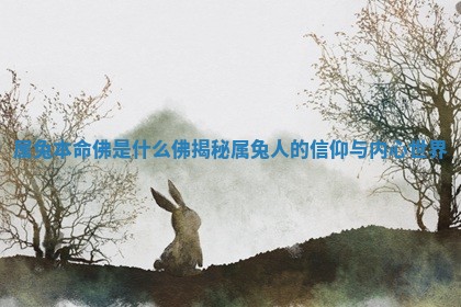 属兔本命佛是什么佛揭秘 属兔人的信仰与内心世界 属兔本命佛是什么佛揭秘 属兔人的信仰与内心世界