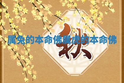 属兔的本命佛 属虎的本命佛