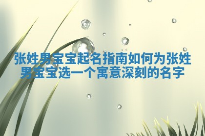 张姓男宝宝起名指南如何为张姓男宝宝选一个寓意深刻的名字