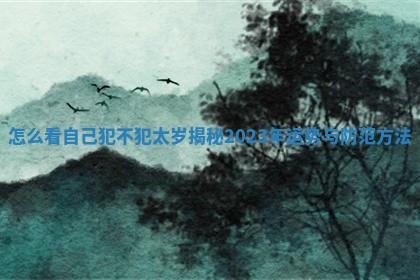 怎么看自己犯不犯太岁揭秘2023年运势与防范方法