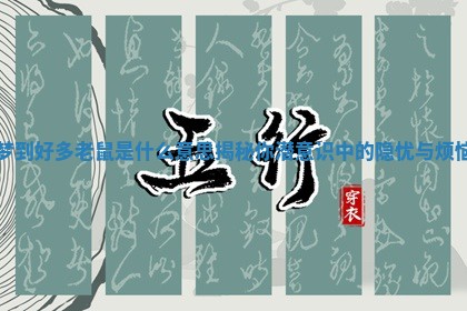 梦到好多老鼠是什么意思揭秘你潜意识中的隐忧与烦恼