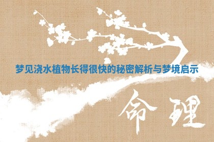 梦见浇水植物长得很快的秘密解析与梦境启示