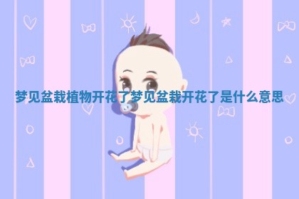 梦见盆栽植物开花了 梦见盆栽开花了是什么意思
