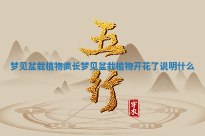梦见盆栽植物疯长 梦见盆栽植物开花了说明什么