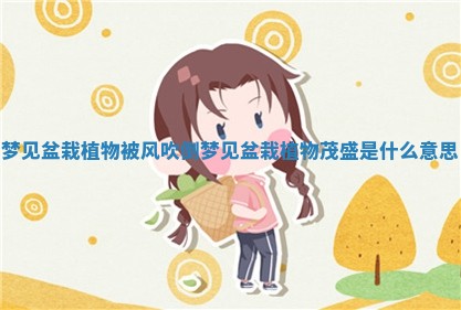 梦见盆栽植物被风吹倒_梦见盆栽植物茂盛是什么意思