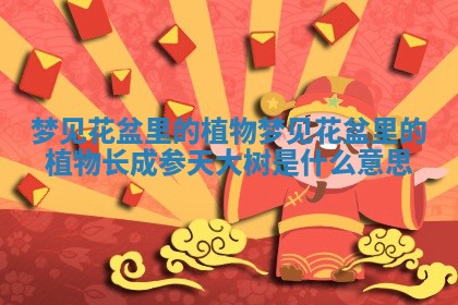 梦见花盆里的植物 梦见花盆里的植物长成参天大树是什么意思 梦见花盆里的植物 梦见花盆里的植物长成参天大树是什么意思