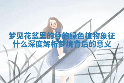 梦见花盆里的种的绿色植物象征什么 深度解析梦境背后的意义