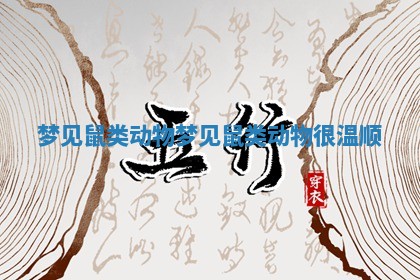 梦见鼠类动物_梦见鼠类动物很温顺