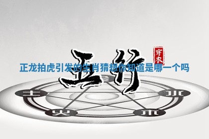 正龙拍虎引发的生肖猜想你知道是哪一个吗