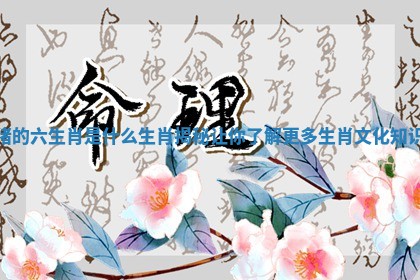 猪的六生肖是什么生肖揭秘让你了解更多生肖文化知识