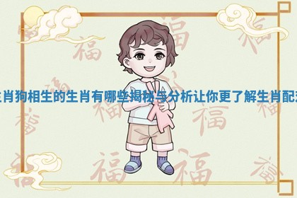 生肖狗相生的生肖有哪些揭秘与分析让你更了解生肖配对