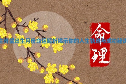 生肖鼠出生月份命运解析揭示你的人生轨迹与成功秘诀