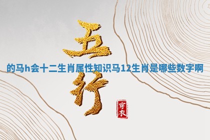 的马h会十二生肖属性知识_马12生肖是哪些数字啊