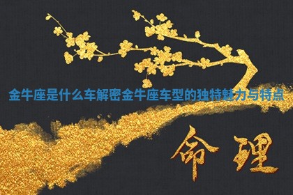 金牛座是什么车 解密金牛座车型的独特魅力与特点