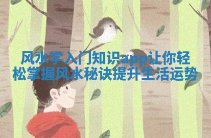 风水学入门知识app让你轻松掌握风水秘诀提升生活运势