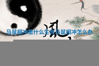 马鼠相冲是什么生肖_马鼠相冲怎么办