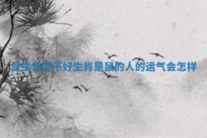 鼠生肖好不好 生肖是鼠的人的运气会怎样