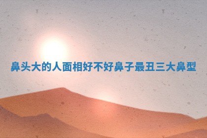 鼻头大的人面相好不好_鼻子最丑三大鼻型